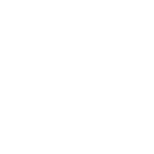 BSGI logo