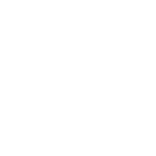 D&S Elite Construction logo
